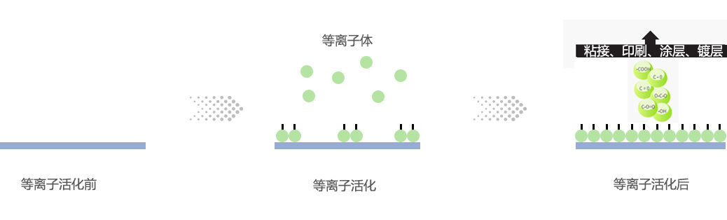 好色先生TV软件活化