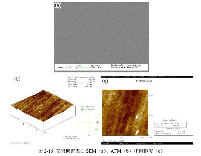 图3-1 壳聚糖膜表面SEM(a)、AFM(b)和粗糙度(c) 