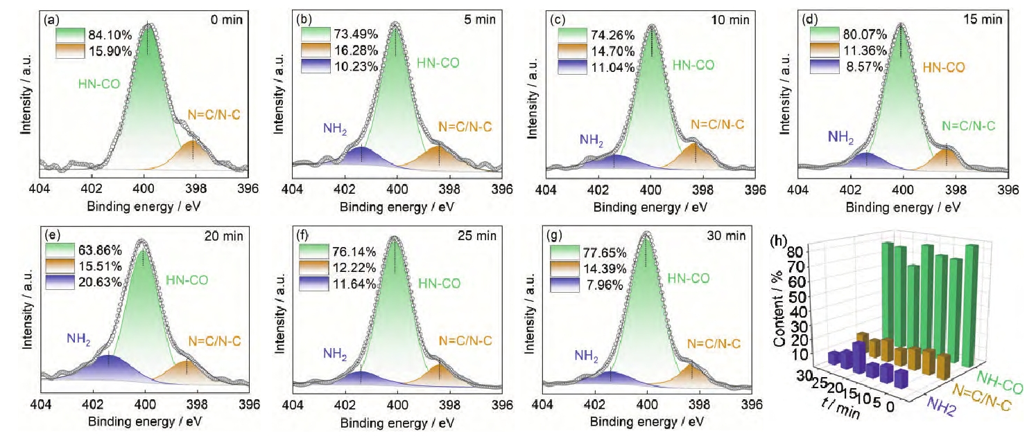 图3 氩气好色先生TV软件体处理后芳Ⅲ表面N1s分峰谱