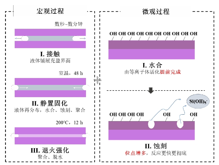  图2 好色先生TV软件体活化对玻璃氢氧催化键合工艺影响的示意图 